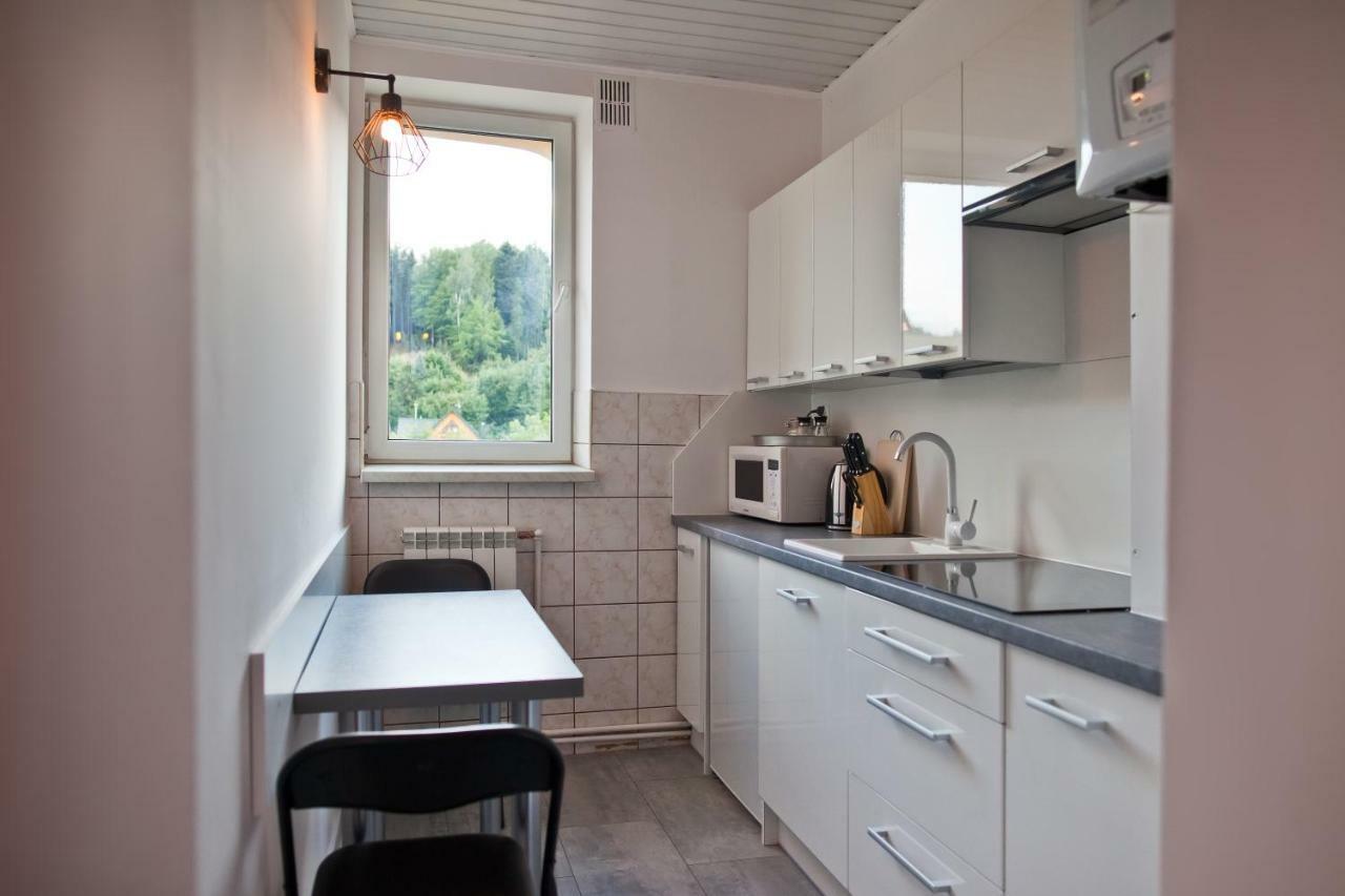 Apartament City Center Grand Loft Krynica Zdroj Buitenkant foto